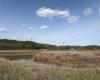 TWP 512A RR 31, Rural Leduc County, Alberta T0C 2T0, ,Land,For Sale,RR 31,A2202125