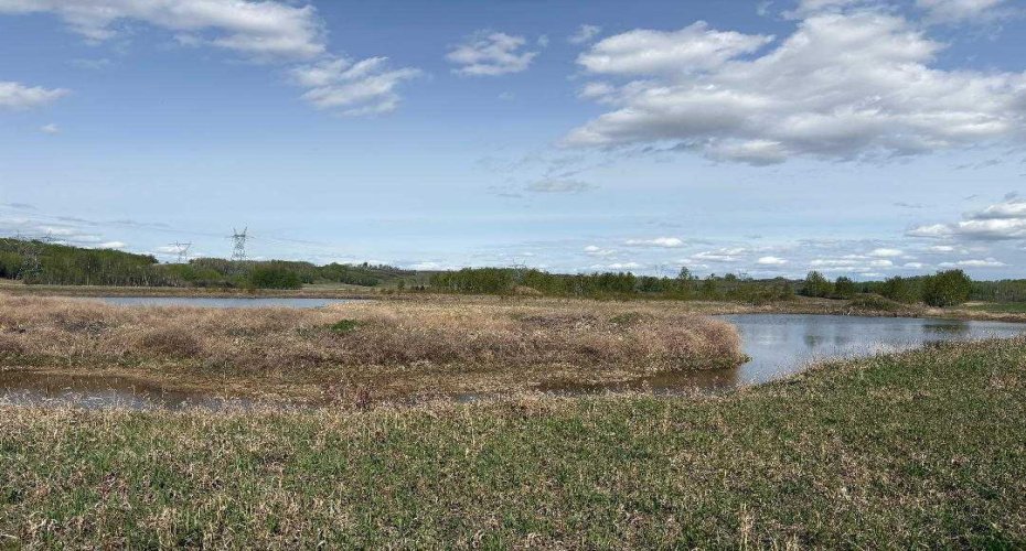 TWP 512A RR 31, Rural Leduc County, Alberta T0C 2T0, ,Land,For Sale,RR 31,A2202125