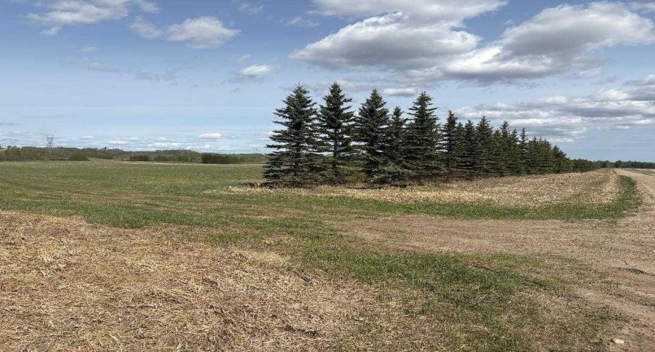 TWP 512A RR 31, Rural Leduc County, Alberta T0C 2T0, ,Land,For Sale,RR 31,A2202125