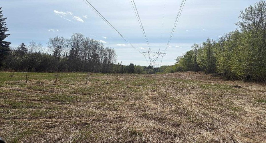 TWP 512A RR 31, Rural Leduc County, Alberta T0C 2T0, ,Land,For Sale,RR 31,A2202125