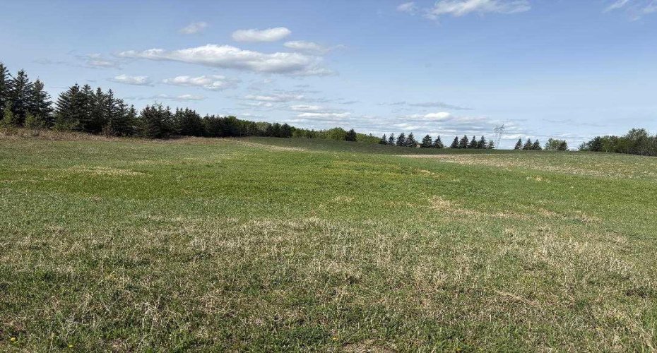 TWP 512A RR 31, Rural Leduc County, Alberta T0C 2T0, ,Land,For Sale,RR 31,A2202125