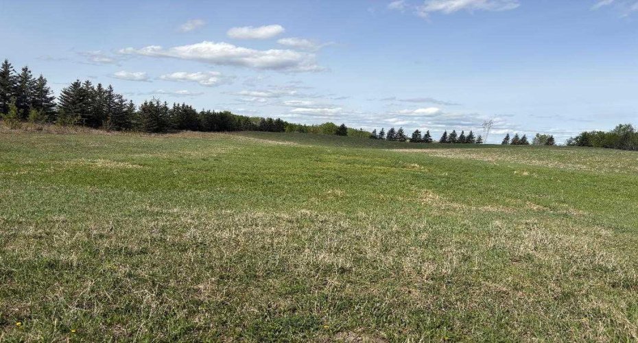 TWP 512A RR 31, Rural Leduc County, Alberta T0C 2T0, ,Land,For Sale,RR 31,A2202125