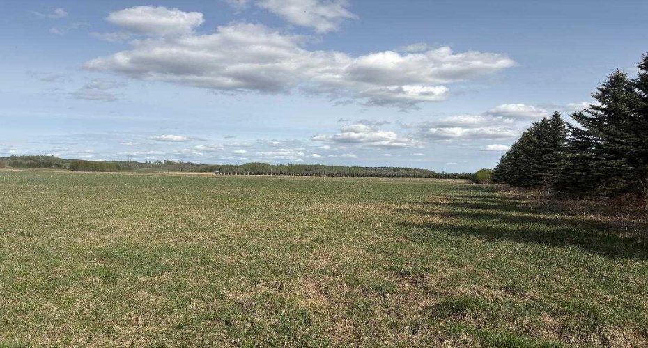 TWP 512A RR 31, Rural Leduc County, Alberta T0C 2T0, ,Land,For Sale,RR 31,A2202125
