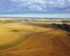 6360 C & E Trail, Innisfail, Alberta T4G 0G9, ,Land,For Sale,C & E,A2006397