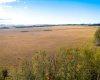 6360 C & E Trail, Innisfail, Alberta T4G 0G9, ,Land,For Sale,C & E,A2006397