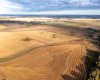 6360 C & E Trail, Innisfail, Alberta T4G 0G9, ,Land,For Sale,C & E,A2006397
