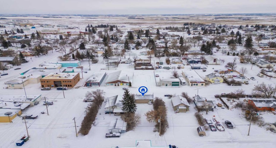 5009 49 Avenue, Forestburg, Alberta T0B 1N0, ,Commercial,For Sale,49,A2203185