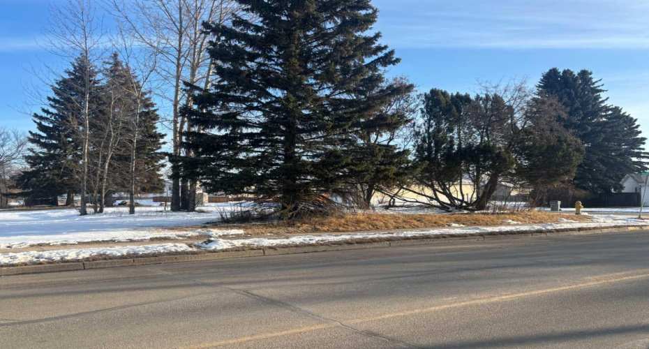 4504 55 Avenue, Whitecourt, Alberta T7S1A8, ,Land,For Sale,55,A2203730