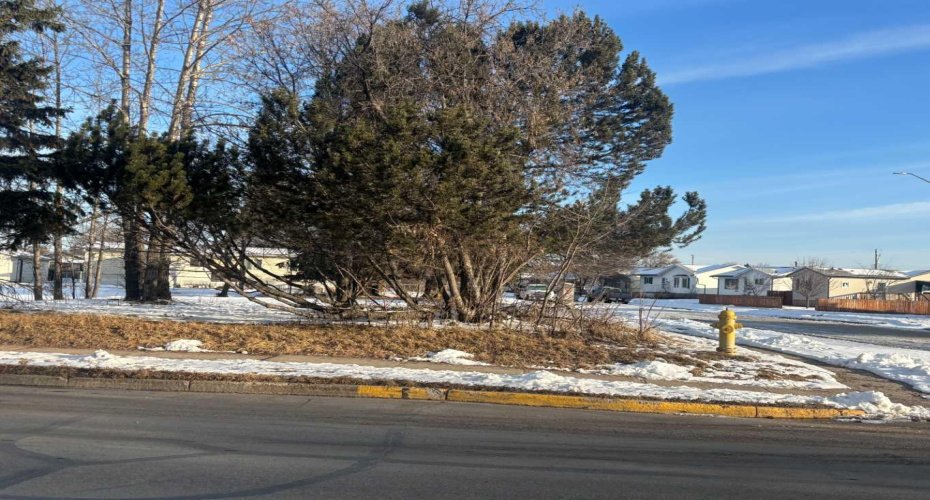 4504 55 Avenue, Whitecourt, Alberta T7S1A8, ,Land,For Sale,55,A2203730