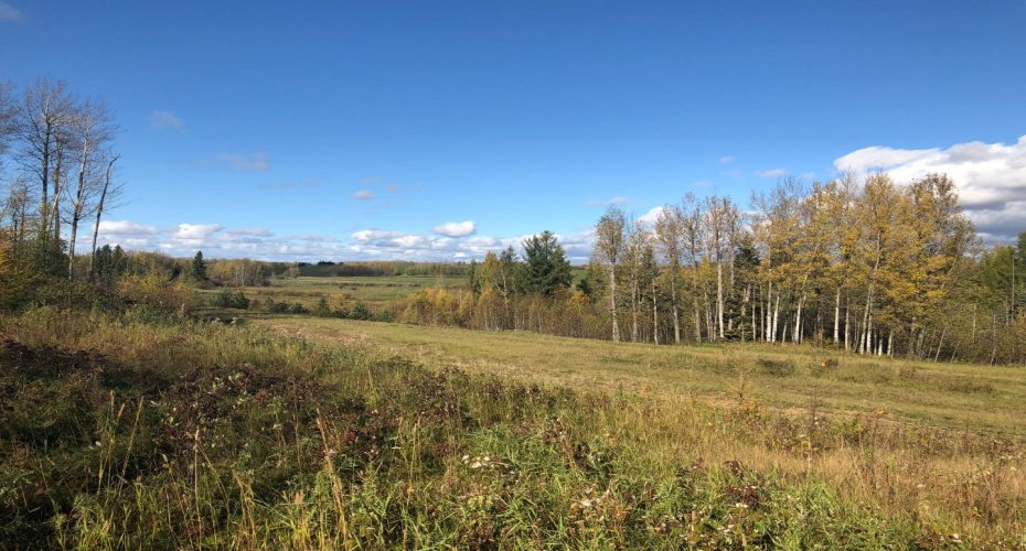 16326 Twp Rd 675, Plamondon, Alberta T0A 2T0, ,Land,For Sale,Twp Rd 675,A2203769