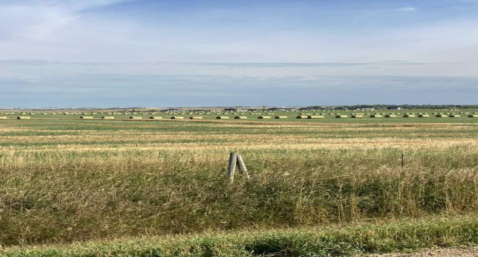 Range RD 14 Road 14, Rural Rocky View County, Alberta T4B 2T3, ,Land,For Sale,Road 14,A2202556