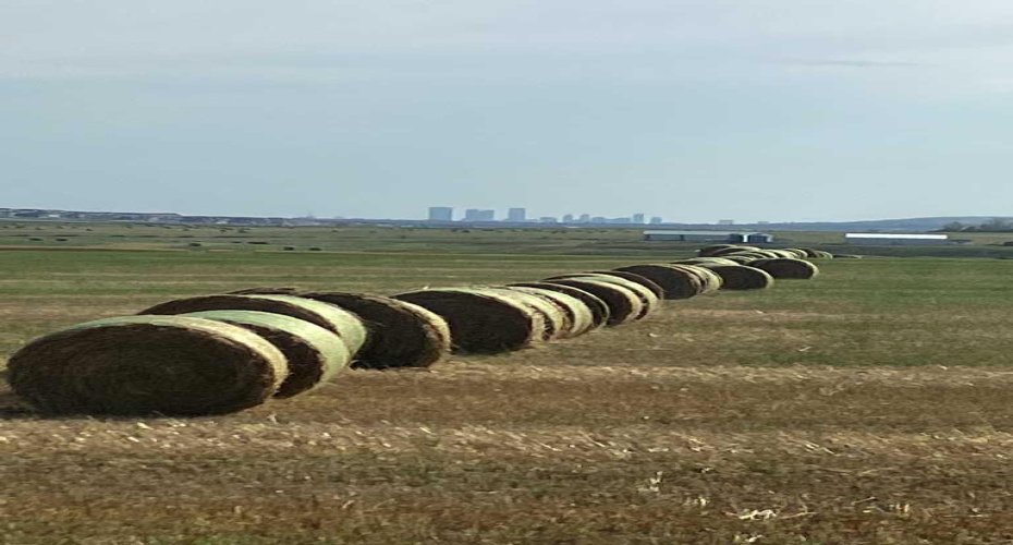 Range RD 14 Road 14, Rural Rocky View County, Alberta T4B 2T3, ,Land,For Sale,Road 14,A2202556