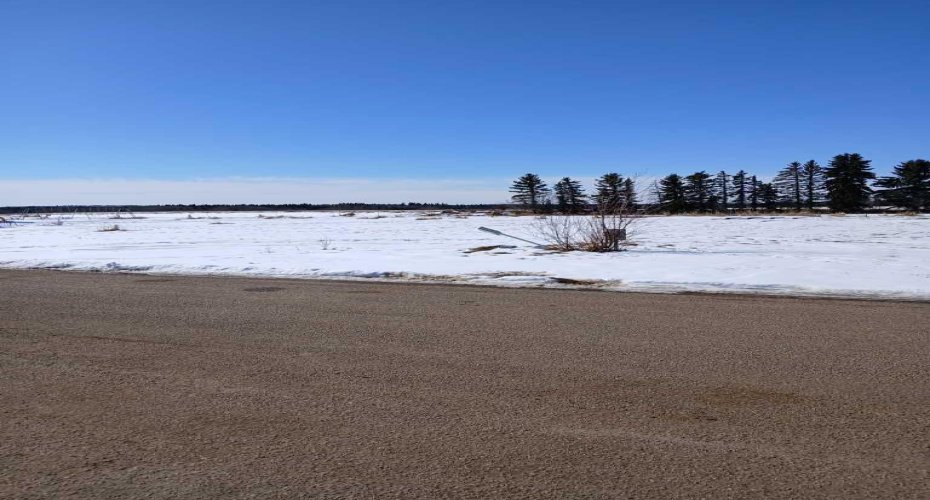 10209 92 Avenue, Lac La Biche, Alberta T0A 2C0, ,Land,For Sale,92,A2204581