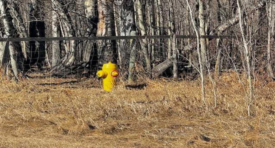 2431 Mistassiniy Road, Wabasca, Alberta T0G 2K0, ,Land,For Sale,Mistassiniy,A2204965