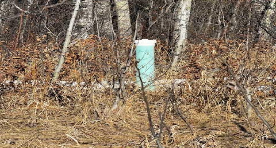 2431 Mistassiniy Road, Wabasca, Alberta T0G 2K0, ,Land,For Sale,Mistassiniy,A2204965