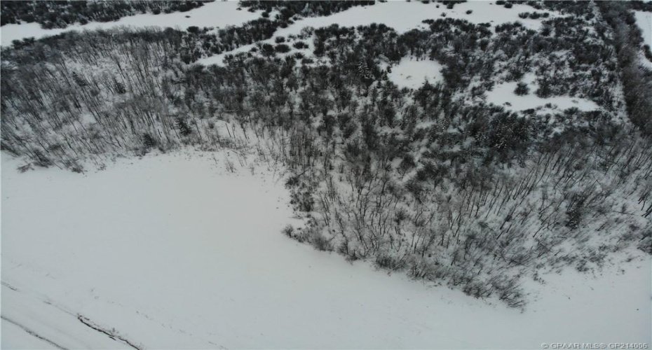 43 721022 Range Road 54, Rural Grande Prairie No. 1, County of, Alberta T8X 0G7, ,Land,For Sale,721022 Range Road 54,A2205963