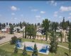 4604 53 Street, Killam, Alberta T0B2L0, ,Land,For Sale,53,A2196665
