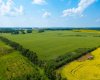 TWP 360 - RR 283C, Innisfail, Alberta T4G 1R7, ,Land,For Sale,RR 283C,A2006752