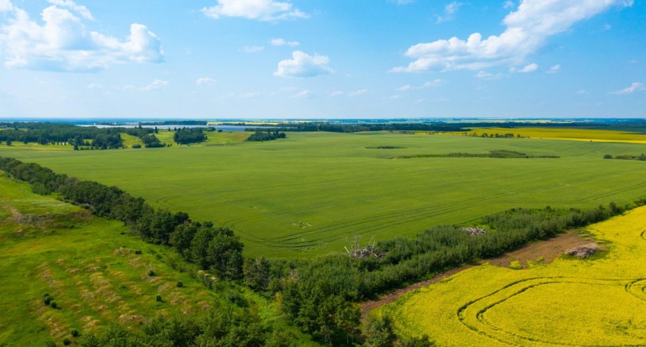 TWP 360 - RR 283C, Innisfail, Alberta T4G 1R7, ,Land,For Sale,RR 283C,A2006752