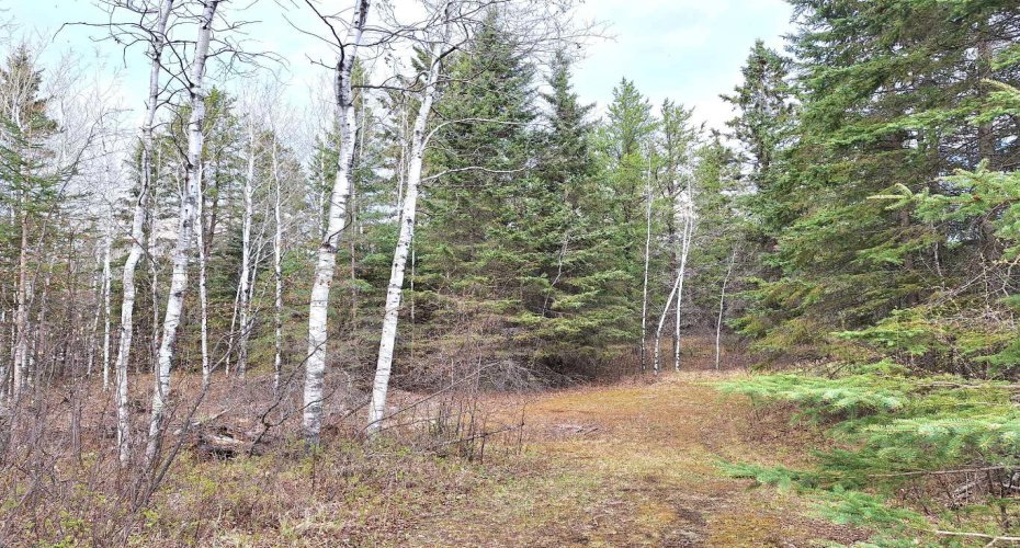 63146 Hwy 867, Rural Lac La Biche County, Alberta T0A 2C0, 2 Bedrooms Bedrooms, ,2 BathroomsBathrooms,Residential,For Sale,Hwy 867,A2206721