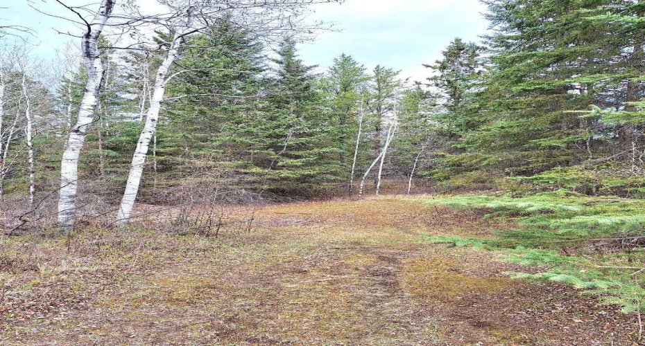 63146 Hwy 867, Rural Lac La Biche County, Alberta T0A 2C0, 2 Bedrooms Bedrooms, ,2 BathroomsBathrooms,Residential,For Sale,Hwy 867,A2206721