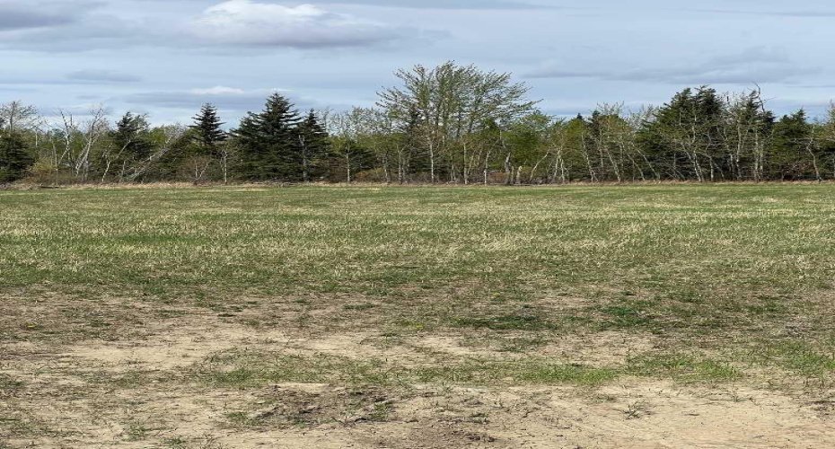 Plan:9720341 Lot:3, Grande Prairie, Alberta T8W 2R7, ,Land,For Sale,Lot:3,A2131580