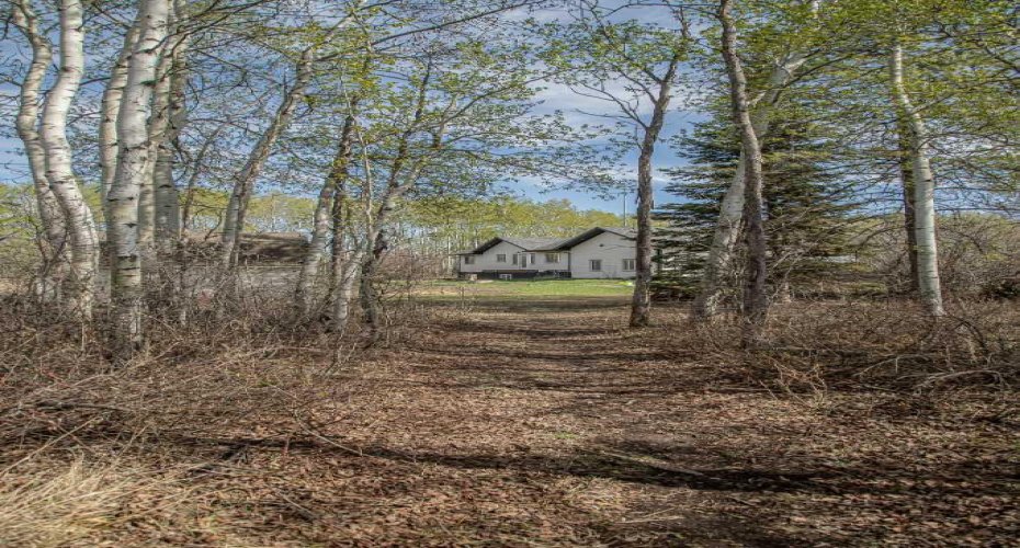 19125 Township Road 1104, Rural Mackenzie County, Alberta T0H 1Z0, 5 Bedrooms Bedrooms, ,3 BathroomsBathrooms,Residential,For Sale,Township Road 1104,A2186021