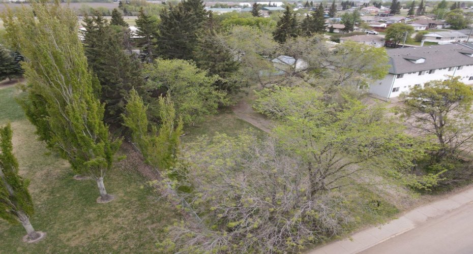 4633 53 Avenue, High Prairie, Alberta T0G 1E0, ,Land,For Sale,53,A2205459