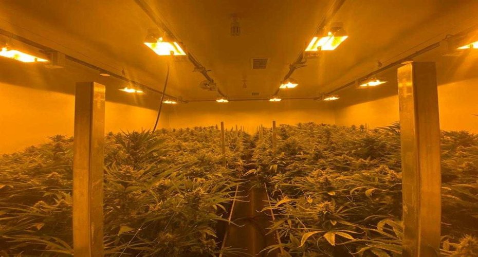 5445 HWY 584, Sundre, Alberta T0M 1X0, ,Commercial,For Sale,HWY 584,A2206332