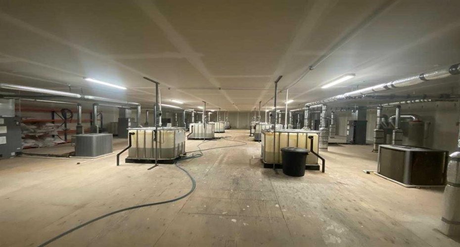 5445 HWY 584, Sundre, Alberta T0M 1X0, ,Commercial,For Sale,HWY 584,A2206332