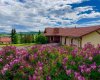 80054 226 Avenue, Rural Foothills County, Alberta T1S 2Z1, 5 Bedrooms Bedrooms, ,4 BathroomsBathrooms,Residential,For Sale,226,A2206623