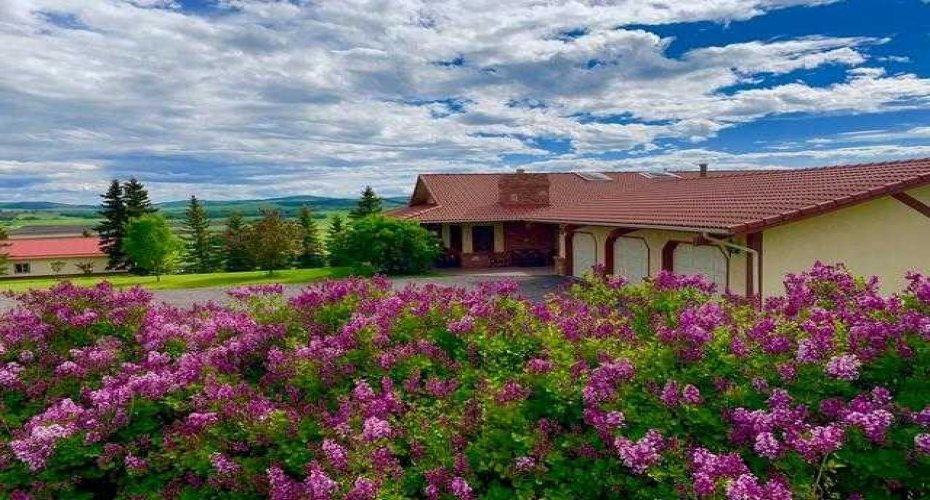 80054 226 Avenue, Rural Foothills County, Alberta T1S 2Z1, 5 Bedrooms Bedrooms, ,4 BathroomsBathrooms,Residential,For Sale,226,A2206623