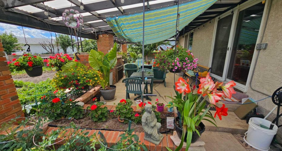 4913 Parkview Crescent, Castor, Alberta T0C0X0, 4 Bedrooms Bedrooms, ,3 BathroomsBathrooms,Residential,For Sale,Parkview,A2206099