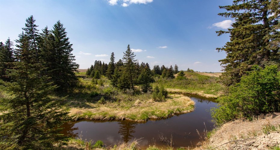 Backing onto Jones Creek