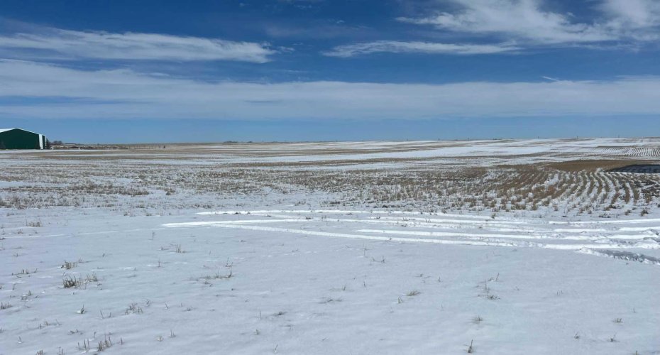 120 Acres Range Road 281, Rural Rocky View County, Alberta T0M 0T0, ,Land,For Sale,120 Acres Range Road 281,A2210463