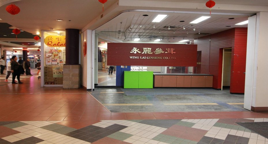 328 Centre Street, Calgary, Alberta T2G 4X6, ,Commercial,For Sale,Dragon City Mall,Centre,A2210465