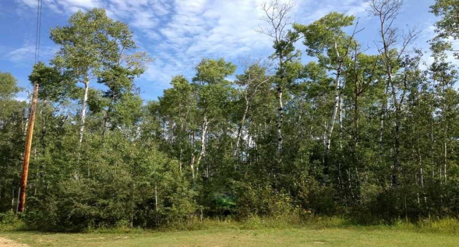 8 Antler Close, Rural Athabasca County, Alberta T9S 2A6, ,Land,For Sale,Antler,A2210122