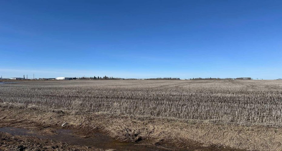 SE 14-73-6-W6, Sexsmith, Alberta T0H 3C0, ,Land,For Sale,14-73-6-W6,A2210747