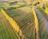 68126 Campsite Road, Plamondon, Alberta T0A 2T0, ,Land,For Sale,Campsite Road,A2212076