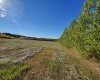 68126 Campsite Road, Plamondon, Alberta T0A 2T0, ,Land,For Sale,Campsite Road,A2212076