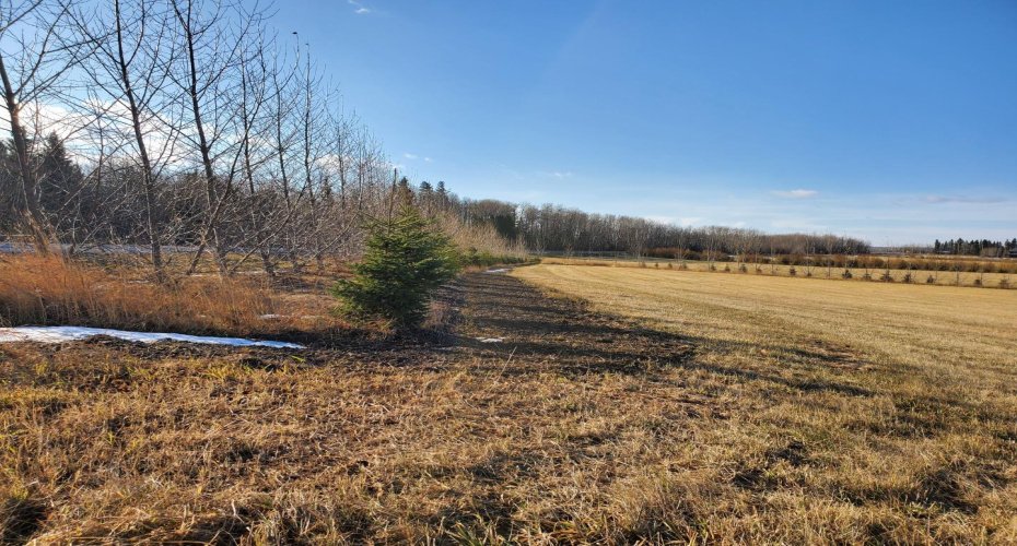 68126 Campsite Road, Plamondon, Alberta T0A 2T0, ,Land,For Sale,Campsite Road,A2212076