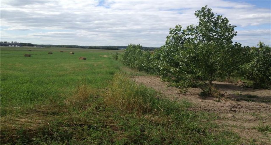 68126 Campsite Road, Plamondon, Alberta T0A 2T0, ,Land,For Sale,Campsite Road,A2212076