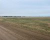 150049 Hwy 542, Rural Newell, County of, Alberta T1R 1C5, ,Land,For Sale,Hwy 542,A2212766