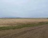 150049 Hwy 542, Rural Newell, County of, Alberta T1R 1C5, ,Land,For Sale,Hwy 542,A2212770