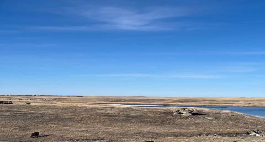 14 Pine Coulee Ranch, Stavely, Alberta T0L 0T0, ,Land,For Sale,Pine Coulee,A2212512