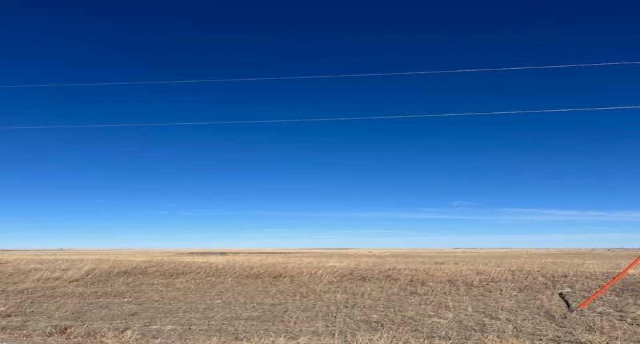 14 Pine Coulee Ranch, Stavely, Alberta T0L 0T0, ,Land,For Sale,Pine Coulee,A2212512