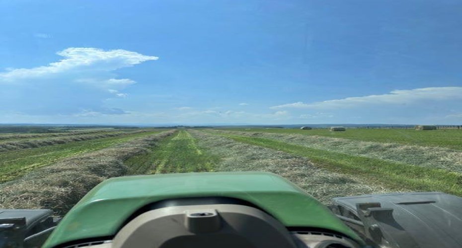 177 Avenue, Rural Foothills County, Alberta T1S2B8, ,Land,For Sale,177,A2215878