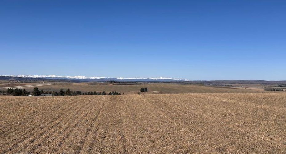 177 Avenue, Rural Foothills County, Alberta T1S2B8, ,Land,For Sale,177,A2215878