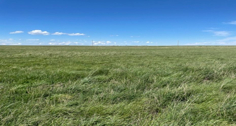 rng rd 251 twnship rd 32, Cardston, Alberta T0K 0K0, ,Land,For Sale,twnship rd 32,A1250192