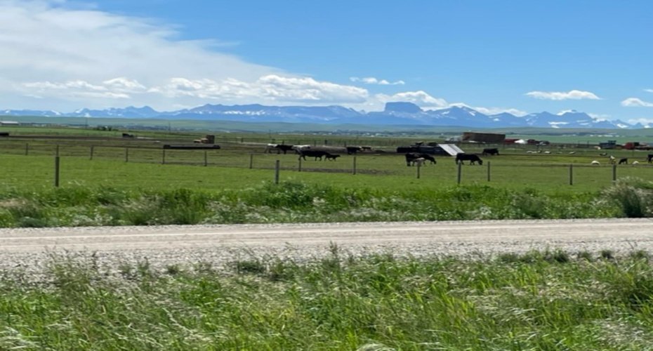 rng rd 251 twnship rd 32, Cardston, Alberta T0K 0K0, ,Land,For Sale,twnship rd 32,A1250192